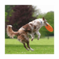 Preview: Trixie Dog Disc Frisbee bissfest - 23 cm